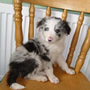 For Sale